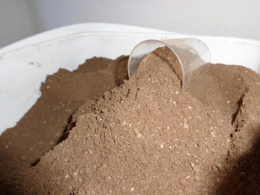 Guano de murciélago en polvo