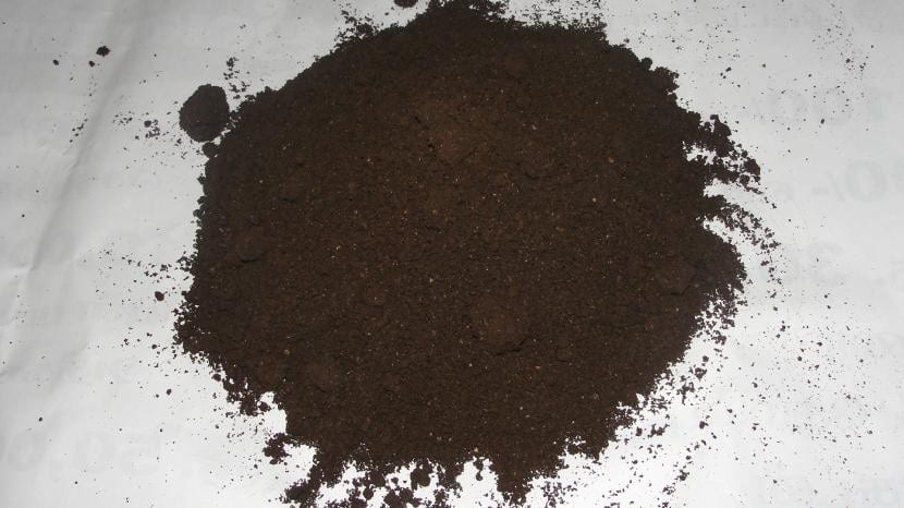 Compost para plantas