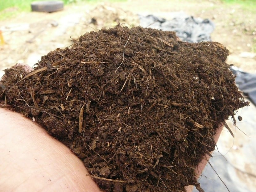 Abono orgánico en polvo para el suelo