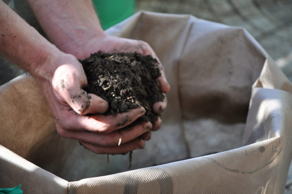 Compost, un abono excelente para el arrayán