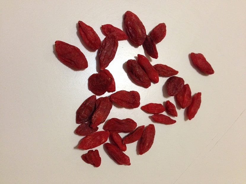 Cultivo de las Bayas de Goji