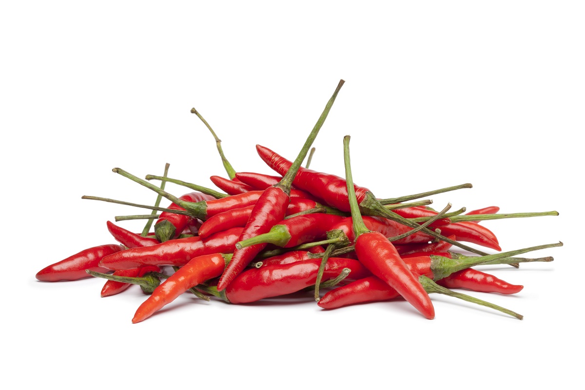 guindillas rojas o Capsicum frutescens