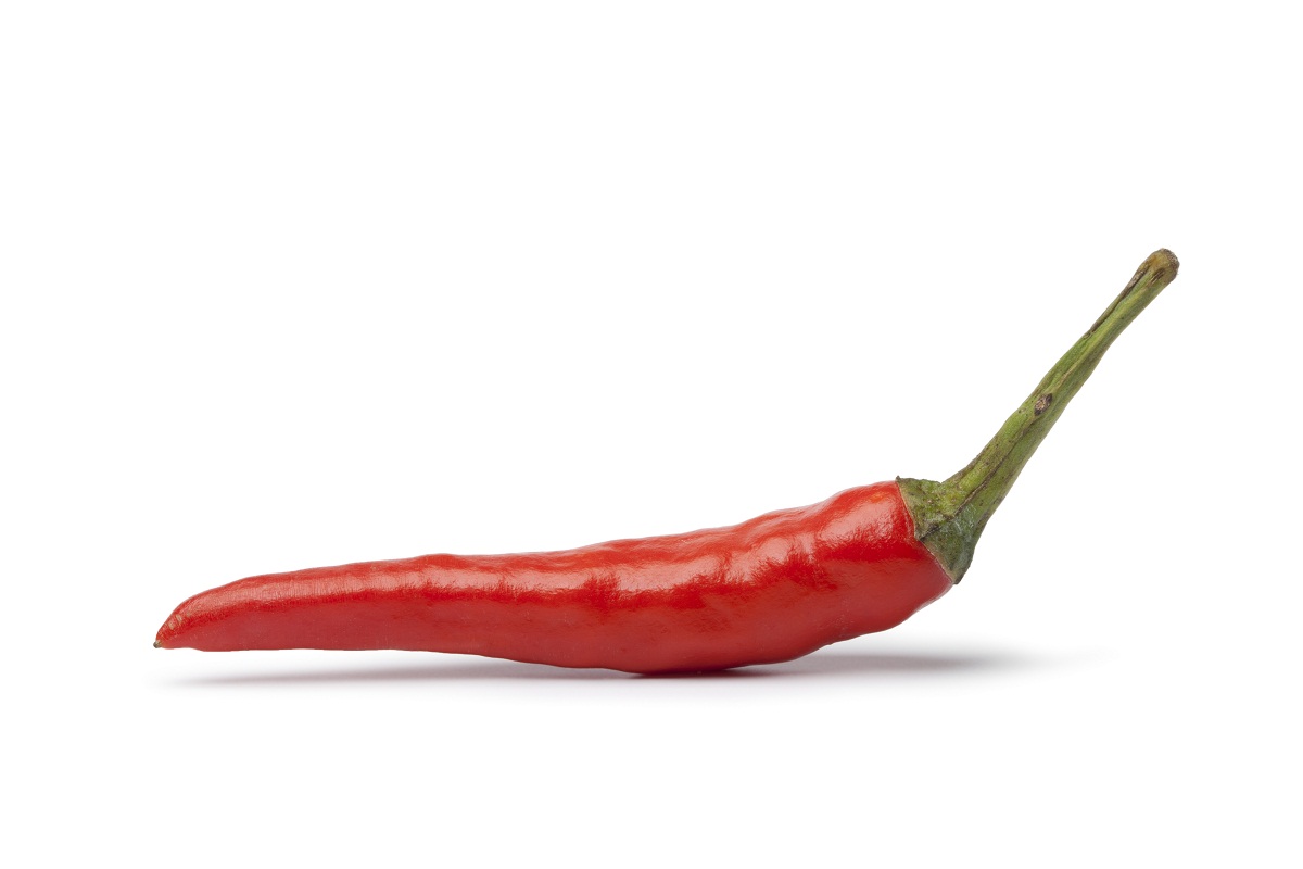 chile tabasco parecido a guindilla