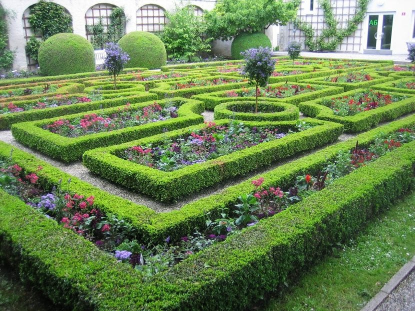 Jardín con setos