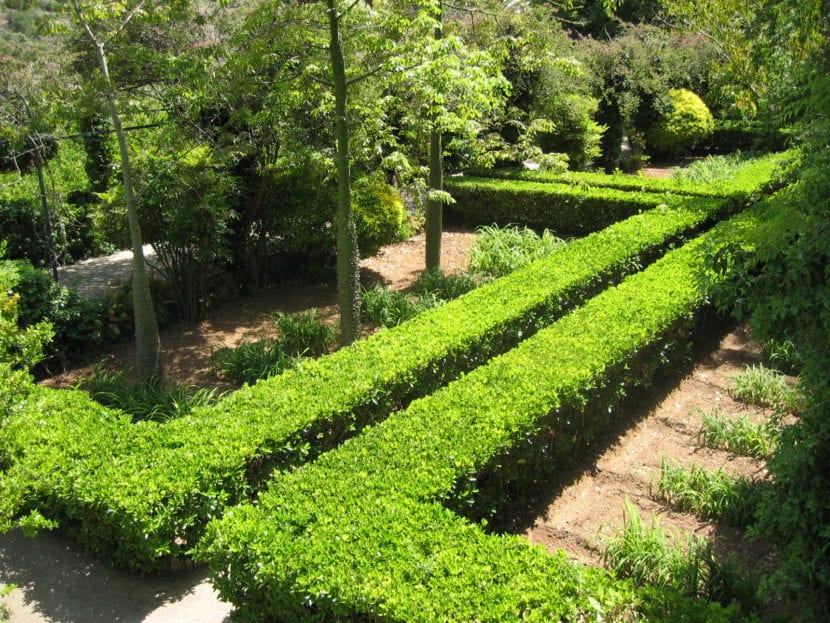 Jardines de Alfàbia