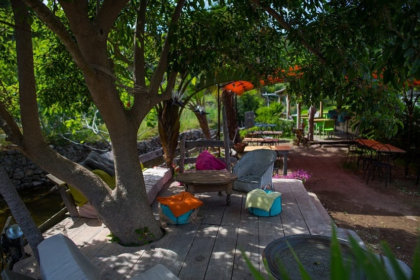 Estos arboles daran sombra a nuestro jardin