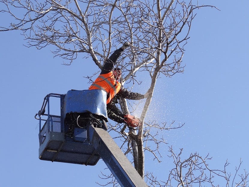 motosierra para talar arboles