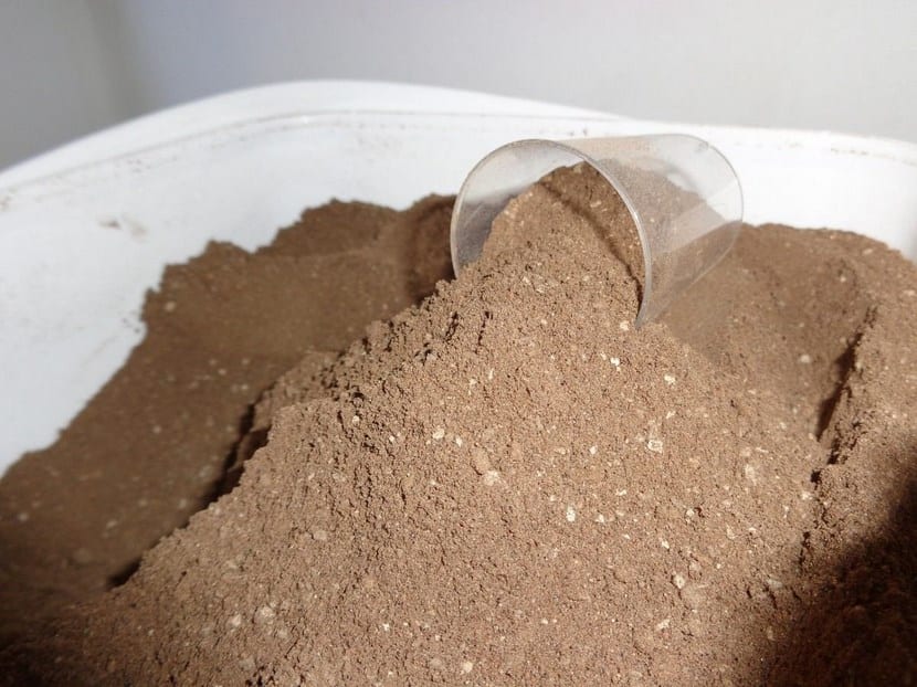 El abono guano en polvo es muy bueno para la damiana