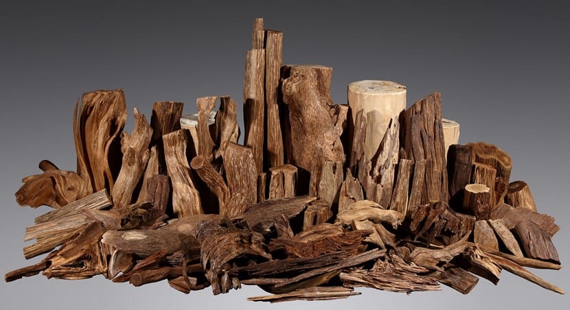 Madera de Agar