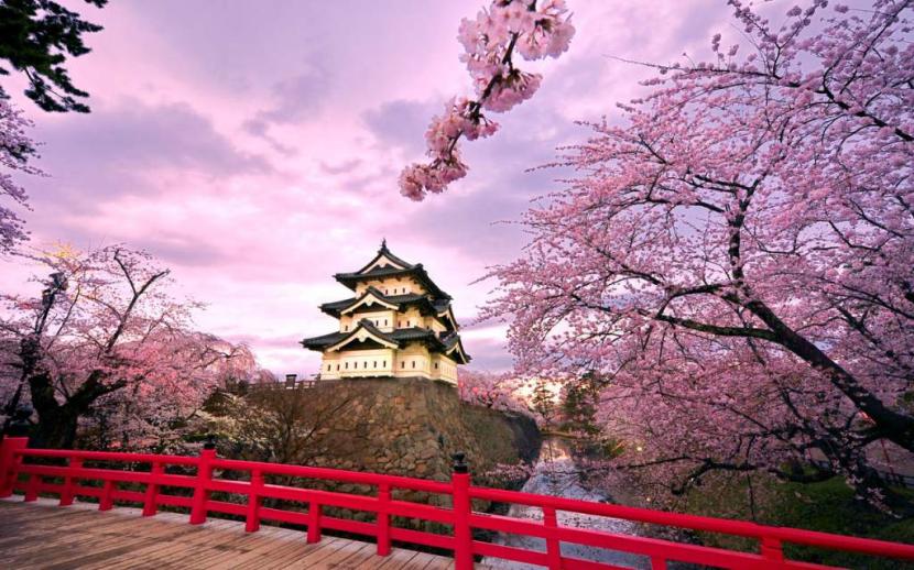 Japón