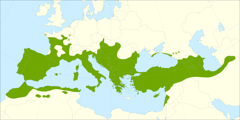 Vista de las regiones donde vive el Fraxinus angustifolia