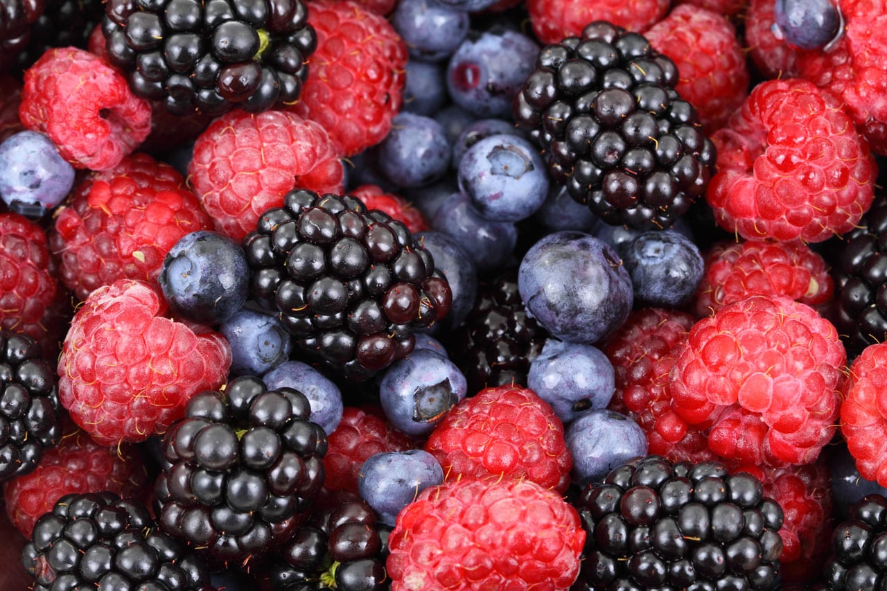 Frutos del bosque: especies, cultivo y poda en España