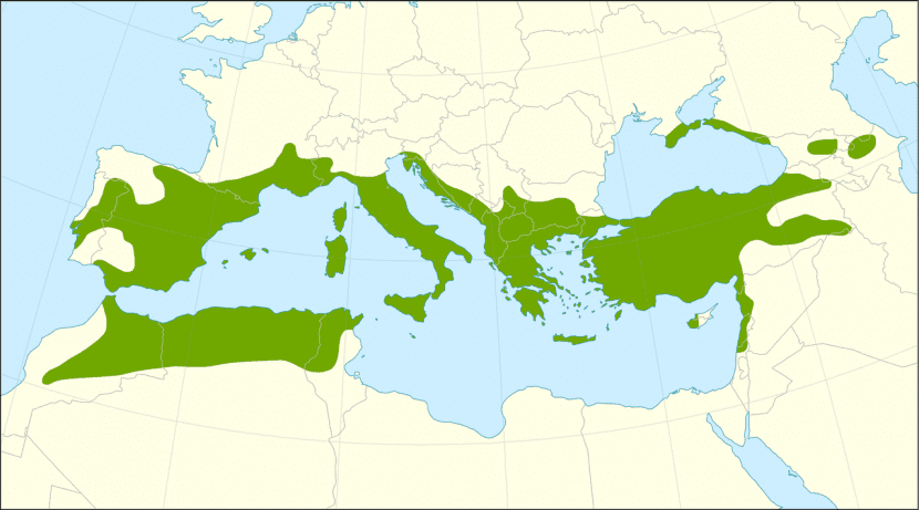 Distribución del Juniperus oxycedrus