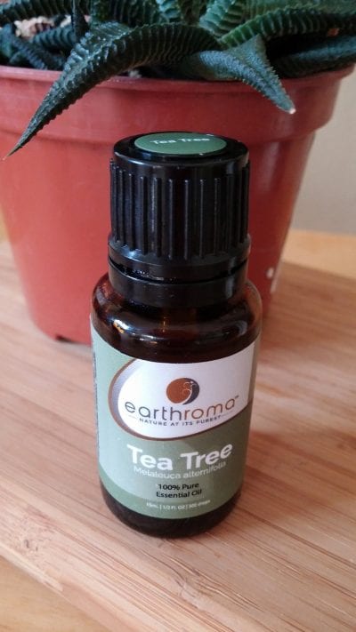 Producto de aceite esencial de Melaleuca alternifolia