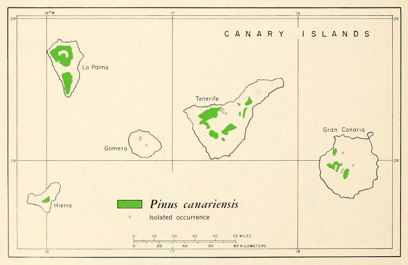 Distribución del pino canario