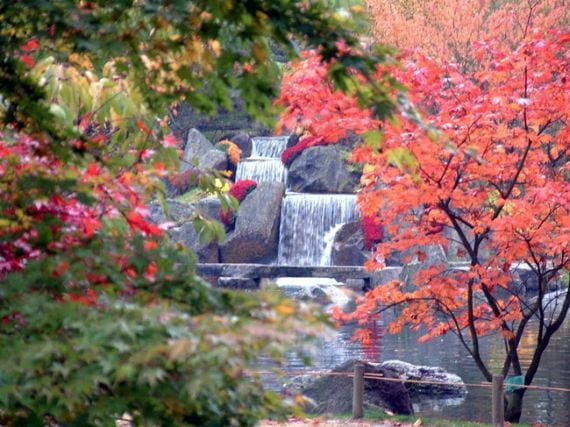 Jardín japonés