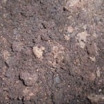 Turba, un sustrato para plantas