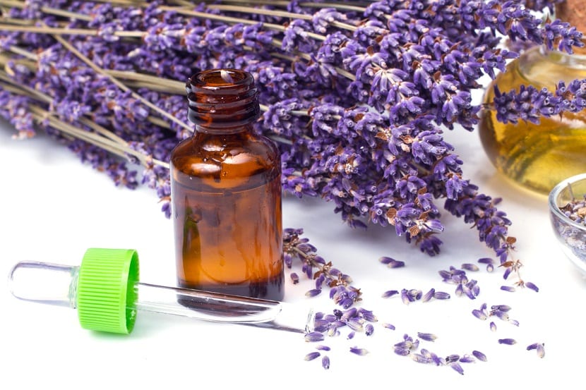 flores secas para uso medicinal