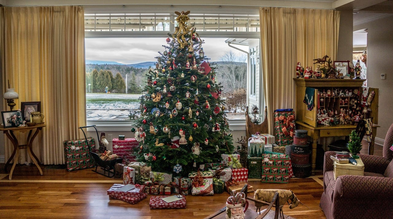 Árboles de Navidad naturales: especies, cuidados y destino