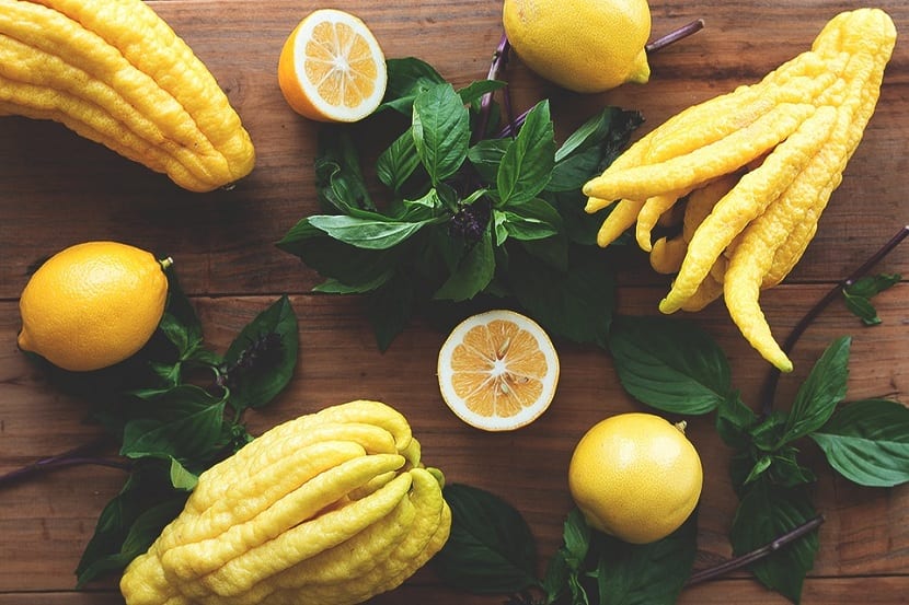 Propiedades medicinales de Citrus medica