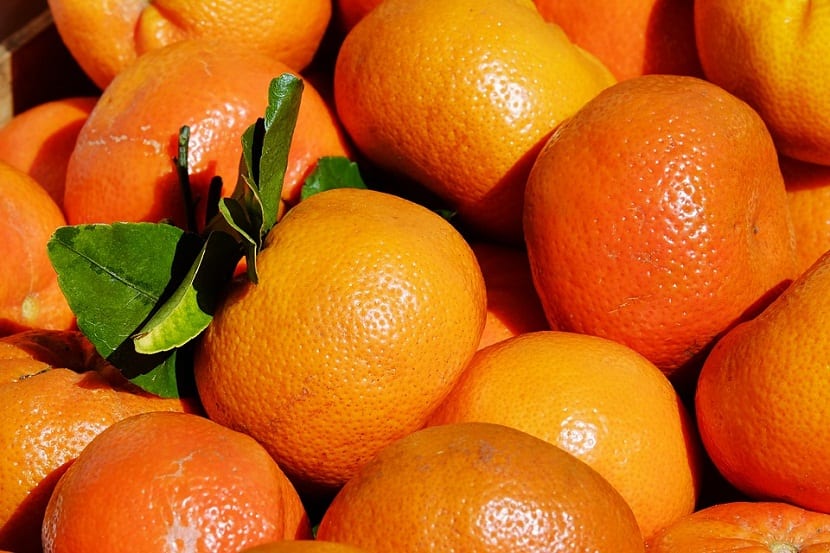 Existe una gran variedad de clementinas