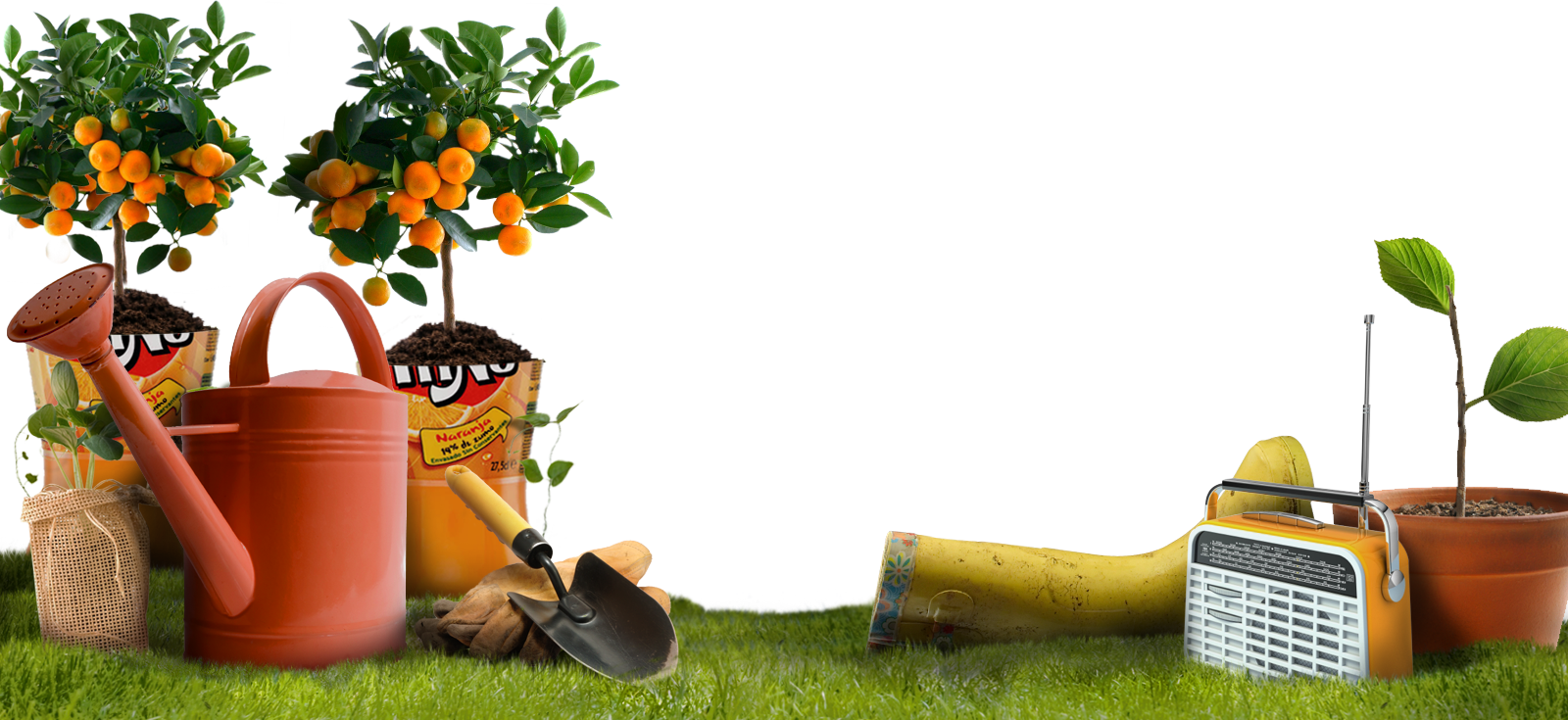 Cómo cultivar frutas y hortalizas en macetas paso a paso