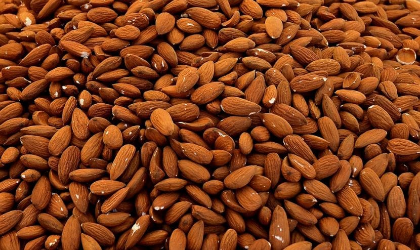 Almendras y otros frutos secos