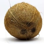 Coco, el fruto de la palmera cocotera