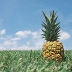 la pina es una fruta tropical