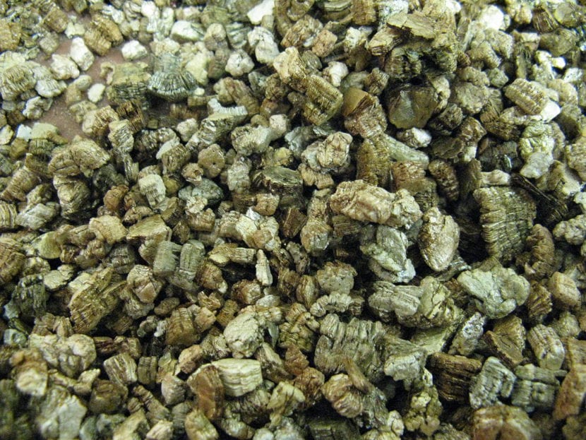 Vermiculita
