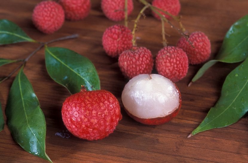 Los frutos del lichi son comestibles