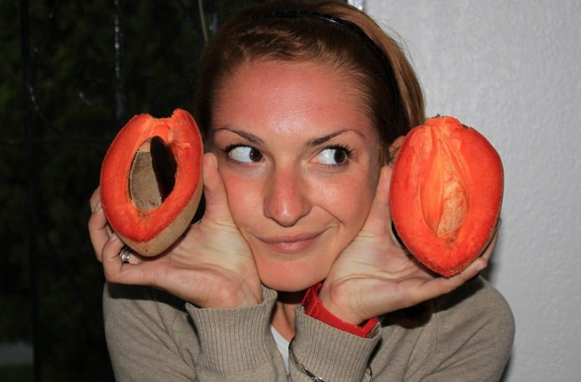 el mamey es delicioso