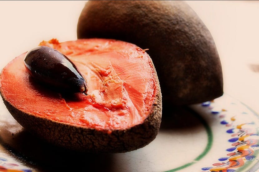 mamey propiedades