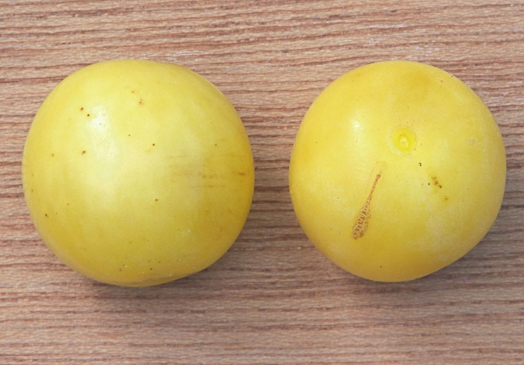 Mirabeles: cultivo, poda y cuidados del ciruelo mirabel