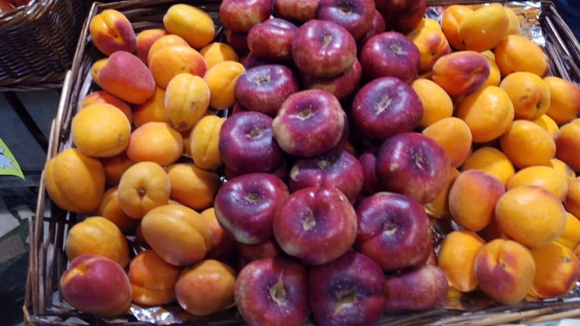 variedades de platerina