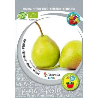 Peral de la variedad Castell, ideal para huerto