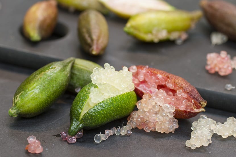 que es el caviar de limon