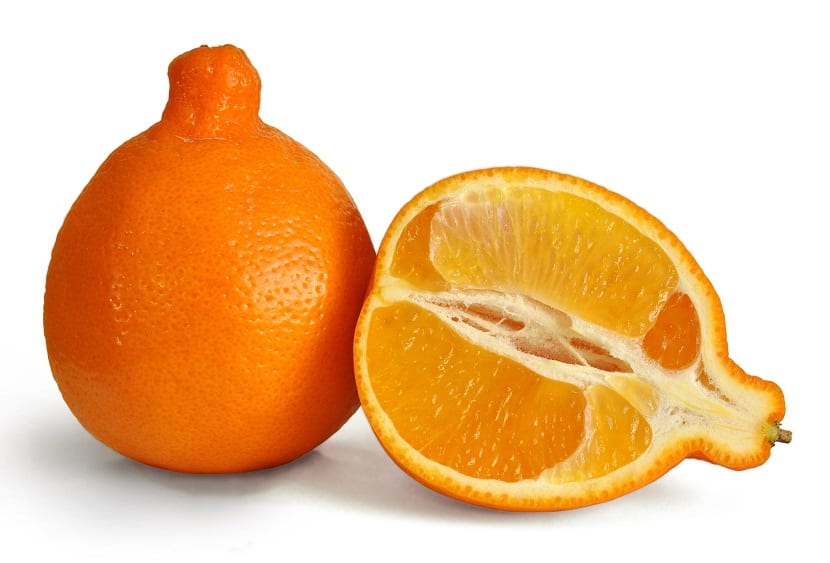 fruta citrica abierta por la mitad