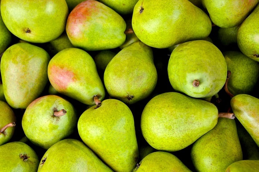imagen de muchas peras de color verde con motas de color ojo