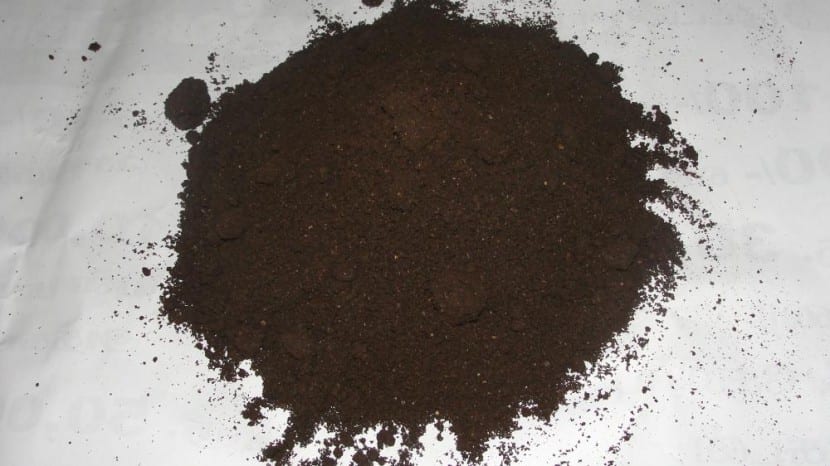Vermicompost