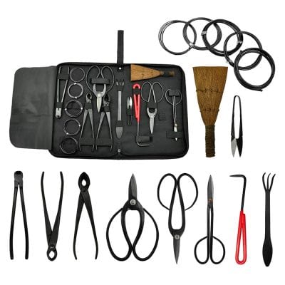 Kit de 10 herramientas de bonsai