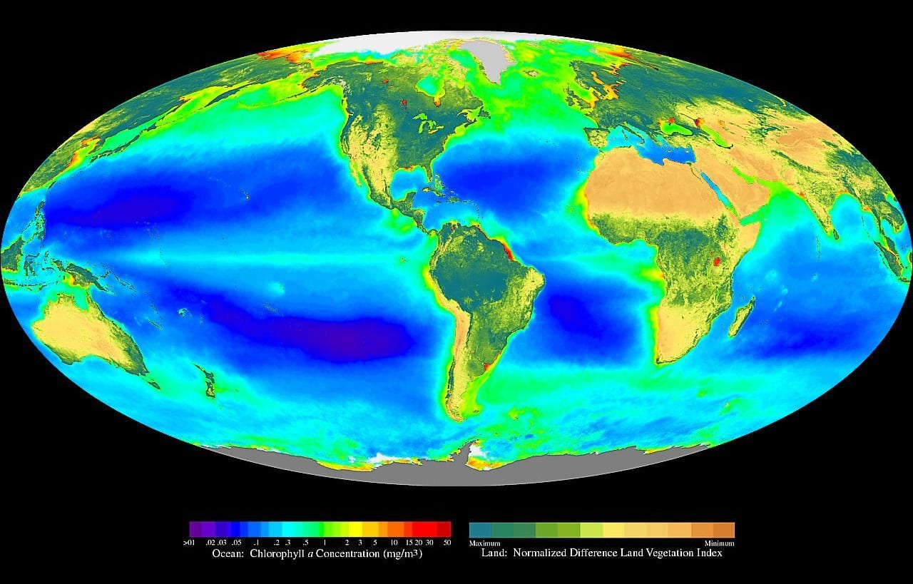 Mapa mundial de la fotosíntesis