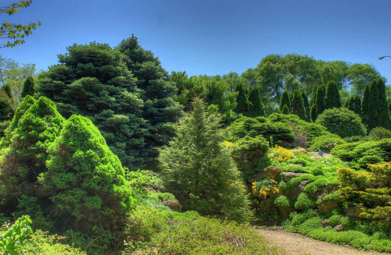 Jardín de árboles