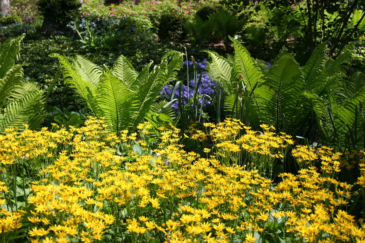 El verano es una estación de luz y calor en el jardín