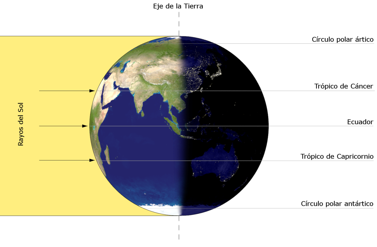 Las estaciones del año tienen efectos en las plantas