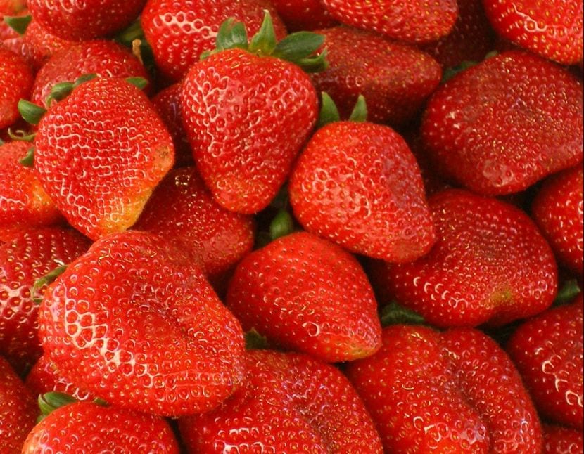 Fresas