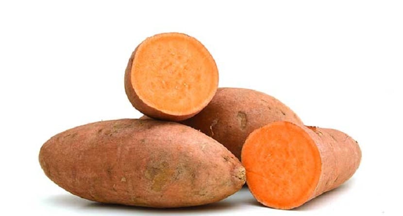 boniato