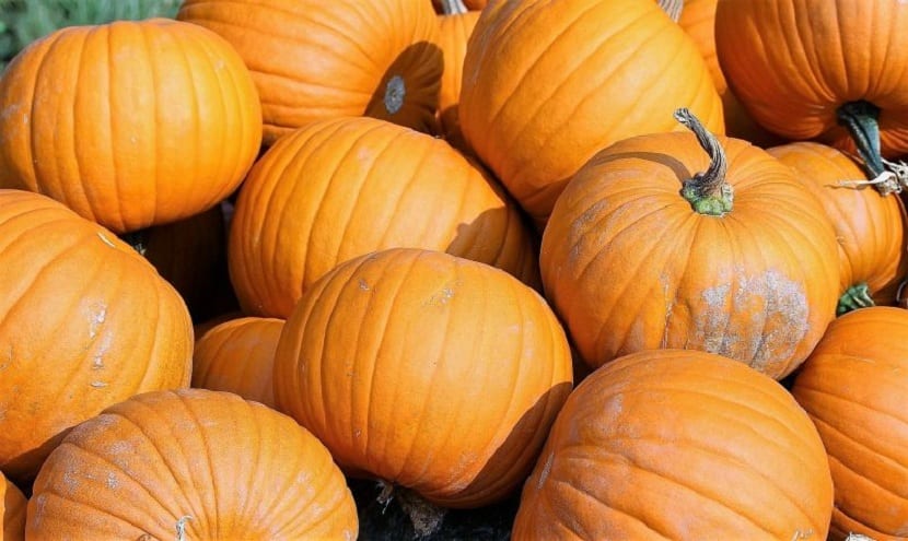 calabaza