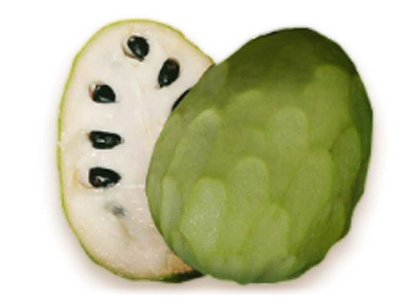 chirimoya