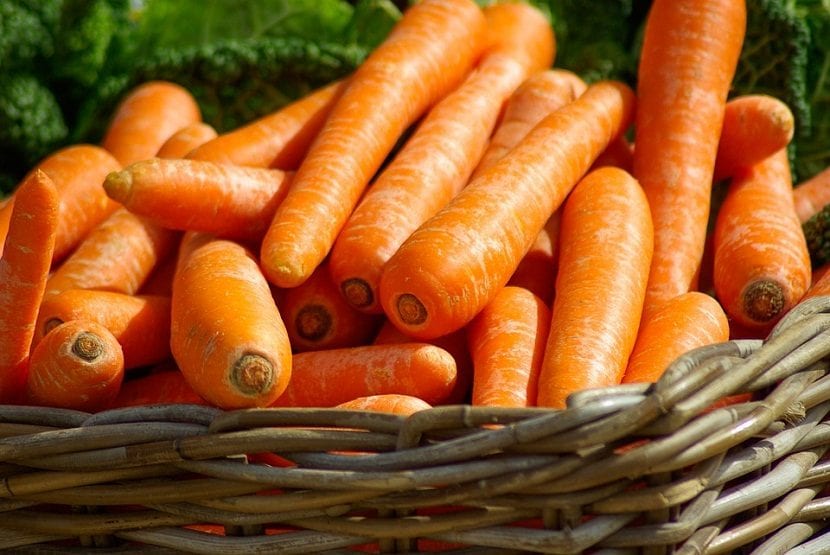 Las zanahorias son muy saludables